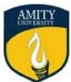 Amity University, Greater Noida Contact No.