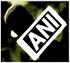 ANI News Contact No.
