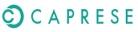 Caprese Bags Customer Care No. 1800 102 2256