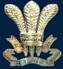 Rashtriya Indian Military College (RIMC) Contact No.