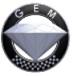 GEM E-Rickshaw Customer Care No.965 4000 300