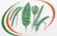 Indian Institute Of Millets Research (ICAR-IIMR) Contact No.