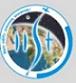 Indian Institute of Space Science & Technology (IIST) Contact No.
