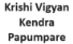 Krishi Vigyan Kendra Papumpare Contact No.
