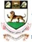 Madras University Contact No.