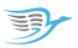 Rise Airline Contact Details