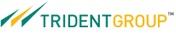 Trident Group Toll Free No. 1800 180 2999